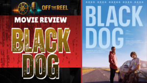black dog new banner